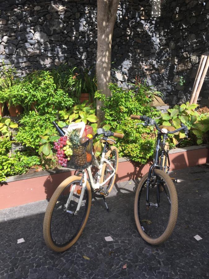 Quinta Pacos Do Lago Campanário Εξωτερικό φωτογραφία